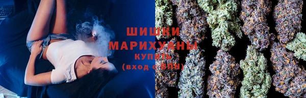 спиды Вязьма