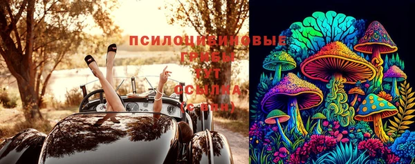 спиды Вязьма